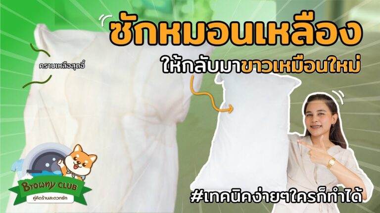 เปลี่ยนหมอนเน่าให้เป็นหมอนใหม่! วิธีกำจัดคราบเหลืองฝังลึกที่ ร้านสะดวกซัก Browny Wash & Dry