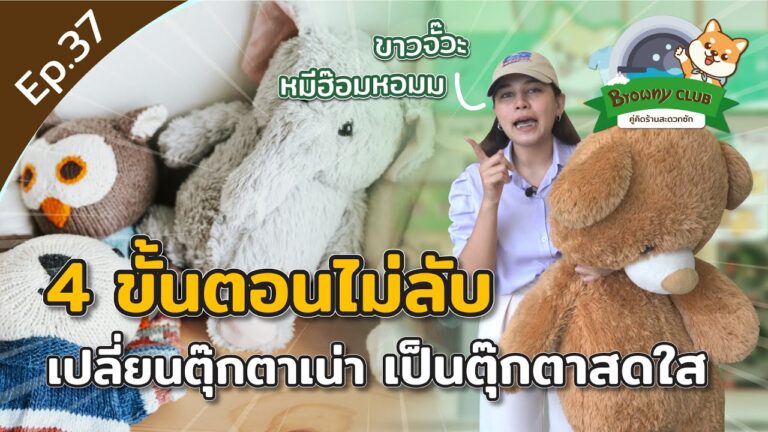 คืนชีพตุ๊กตาตัวโปรด! 4 ขั้นตอนเปลี่ยนตุ๊กตาเน่าให้หอมฟูเหมือนใหม่ที่ ร้านสะดวกซัก Browny Wash & Dry
