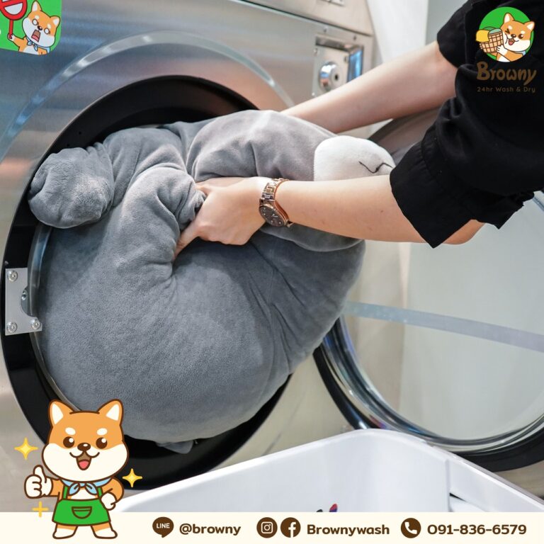 ร้านสะดวกซัก ตัวช่วยปราบ “ตุ๊กตาเน่า” แหล่งสะสมเชื้อโรคที่มองไม่เห็น!