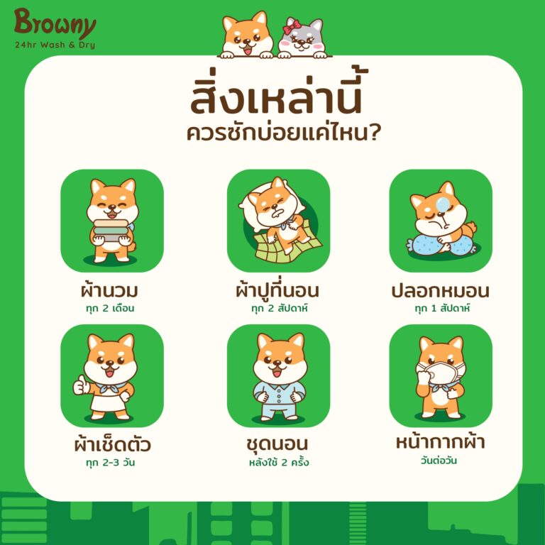 ร้านสะดวกซัก ตัวช่วยดูแลสุขอนามัย! ของใช้ใกล้ตัวควรซักบ่อยแค่ไหน? น้อง Browny มีคำตอบ