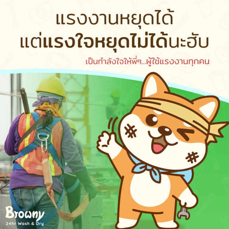 สุขสันต์วันแรงงาน 2023! 🛠️ พักผ่อนให้เต็มที่ ส่วนเรื่องผ้า… ให้ Browny ดูแลแทนนะฮับ