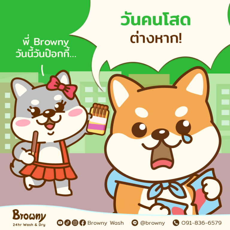 11.11 วันของคนโสด… โสดแบบตัวแม่ จะแคร์เพื่อ! 🐕✨