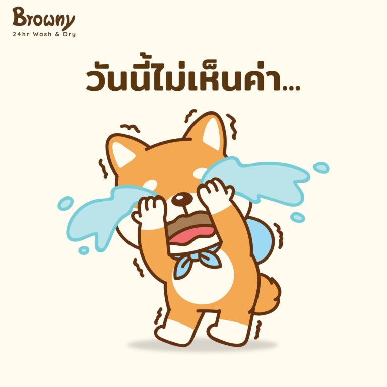 ร้านสะดวกซัก Browny อ้อนเก่ง! วันนี้ยังไม่สนไม่เป็นไร แต่อย่าลืมเก็บน้องไว้ในใจนะฮับ
